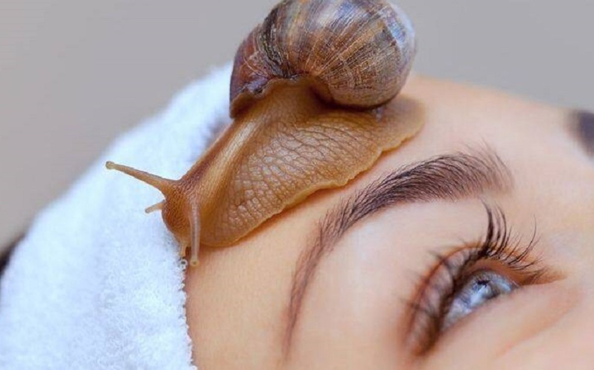 Benefits of snail therapy